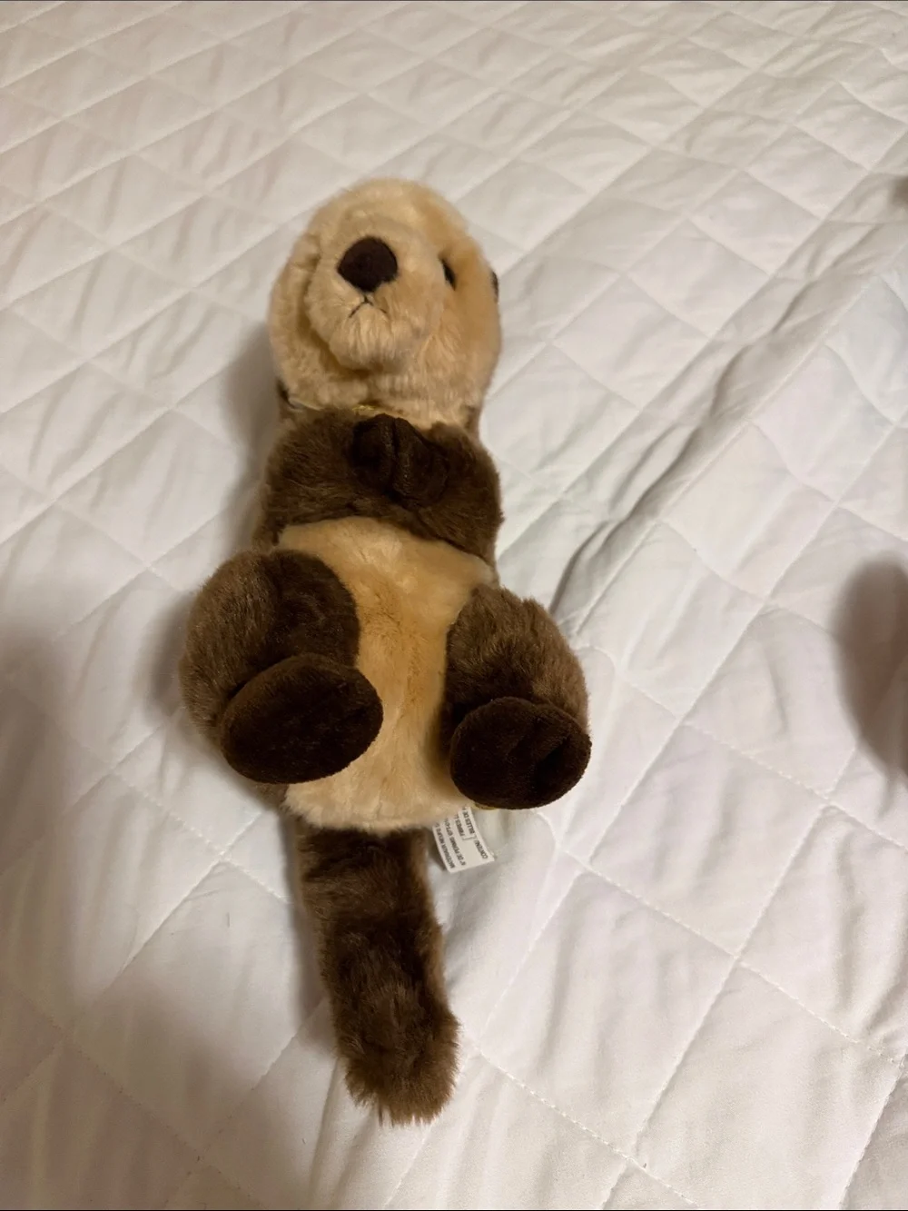 Plush Brown Otter Pet Toy - Soft Brown Small Pet Playmate
